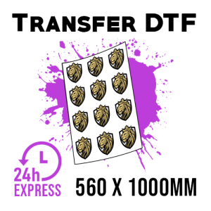 EKSPRESOWA PRODUKCJA Transfer DTF w formacie 560 x 1000mm