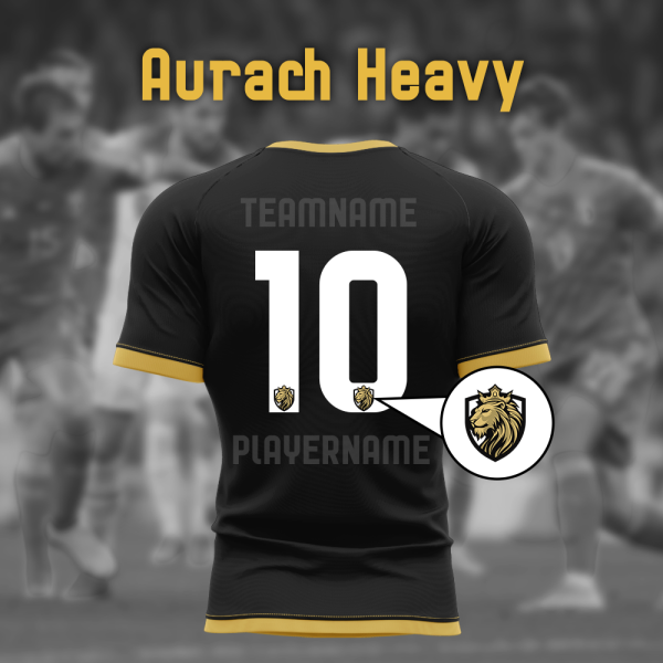 Zestaw numerów Aurach-Heavy + logo zespołu
