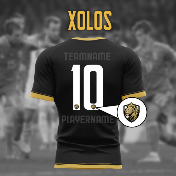 Zestaw numerów Xolos + logo zespołu